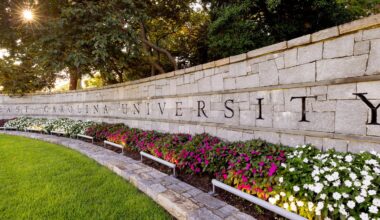 Miami Marlins manager Clayton McCullough to deliver fall commencement address | News Services