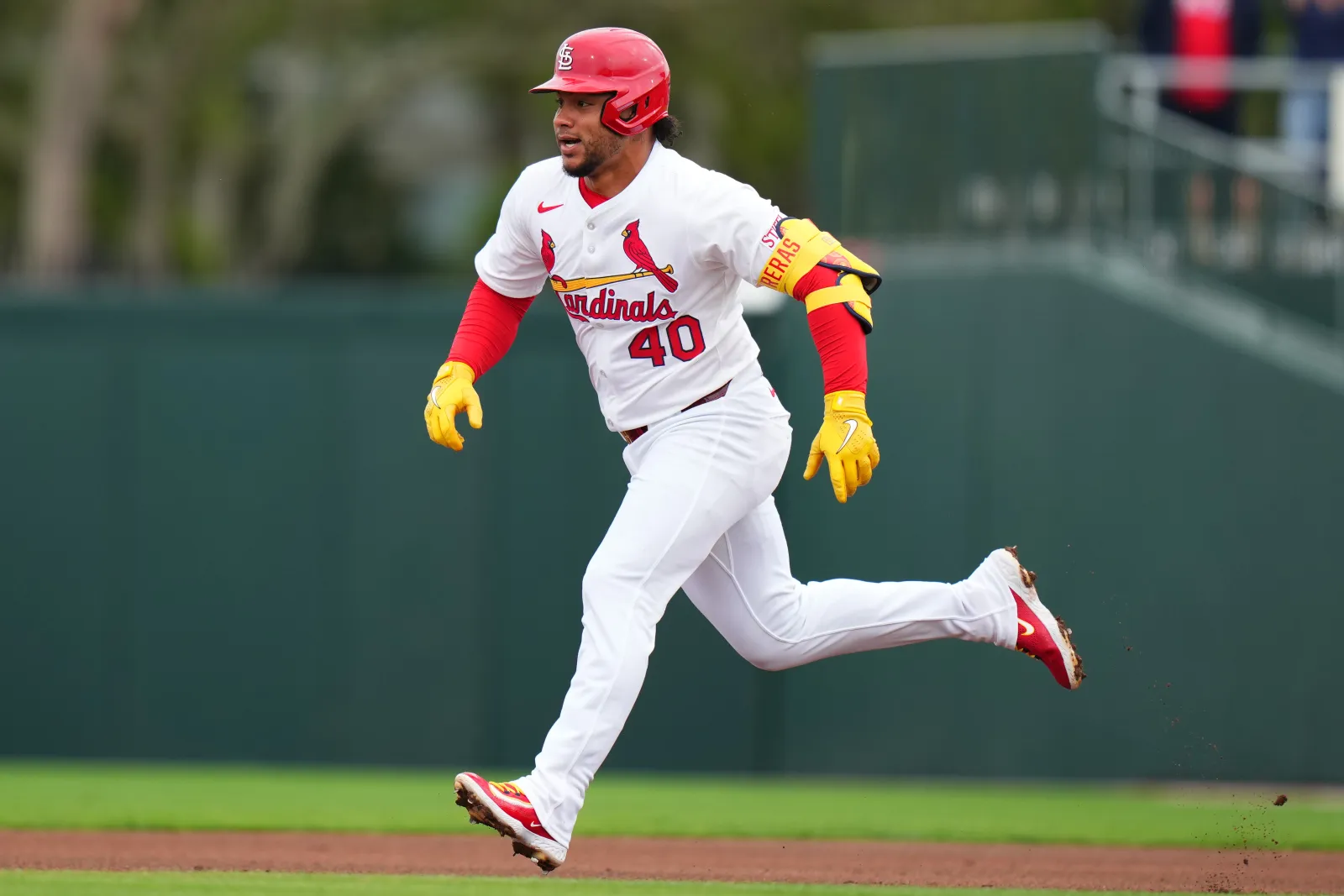 St. Louis Cardinals infielder Willson Contreras