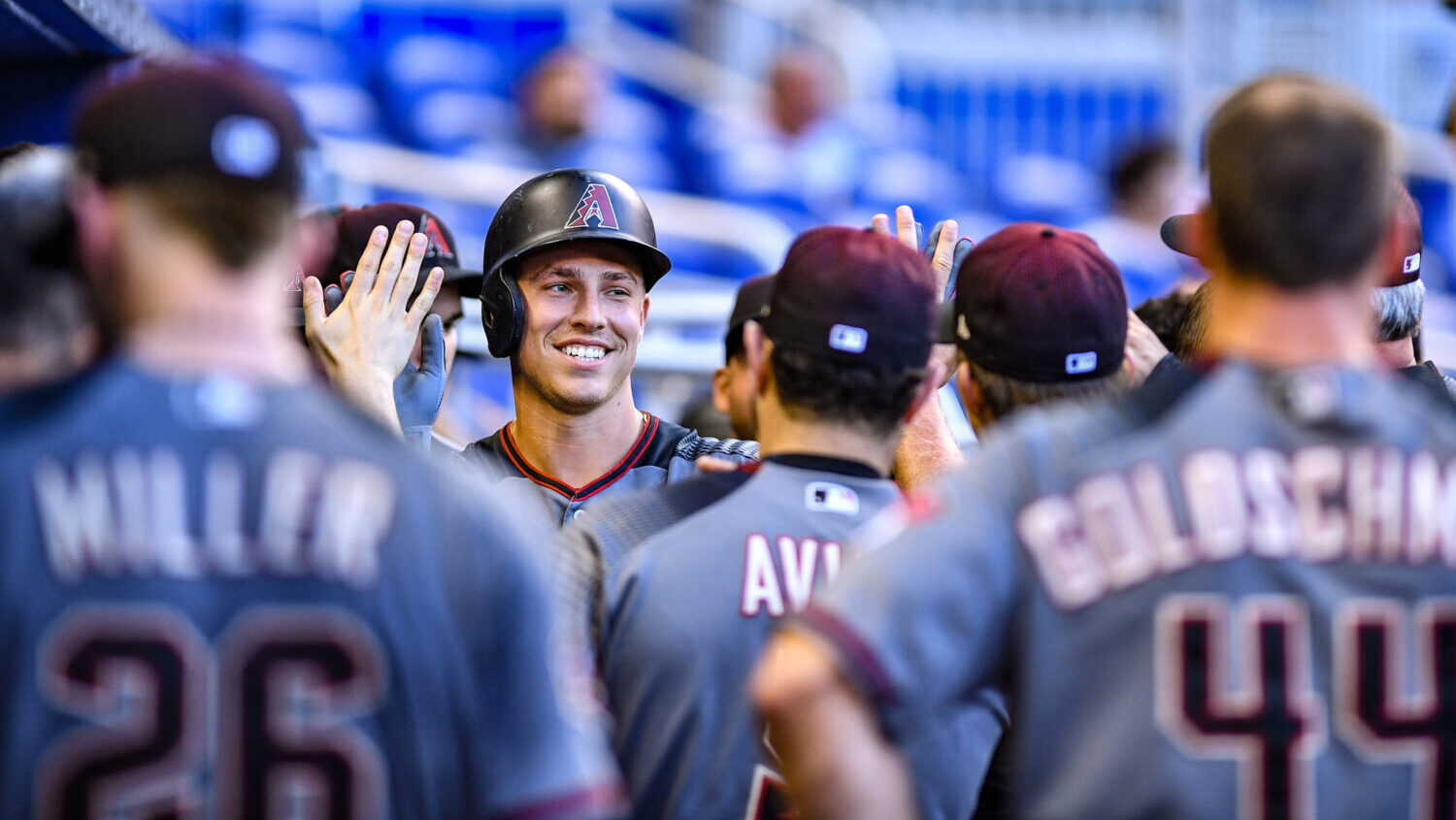 Jake Lamb Diamondbacks player development staff...