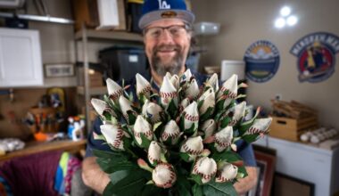 With a new kind of bloom, Woodland Hills attorney turns baseballs into ornamental roses – Daily News