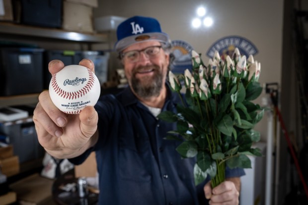 Gregg Garfinkel, an attorney with offices in Woodland Hills, with some of his baseball roses on Wednesday, December 31, 2025. Garfinkel creates the roses from real MLB baseballs in his garage. (Photo by David Crane, Los Angeles Daily News/SCNG)