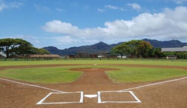Update: Līhu‘e Baseball League main diamond construction project delayed : Kauai Now