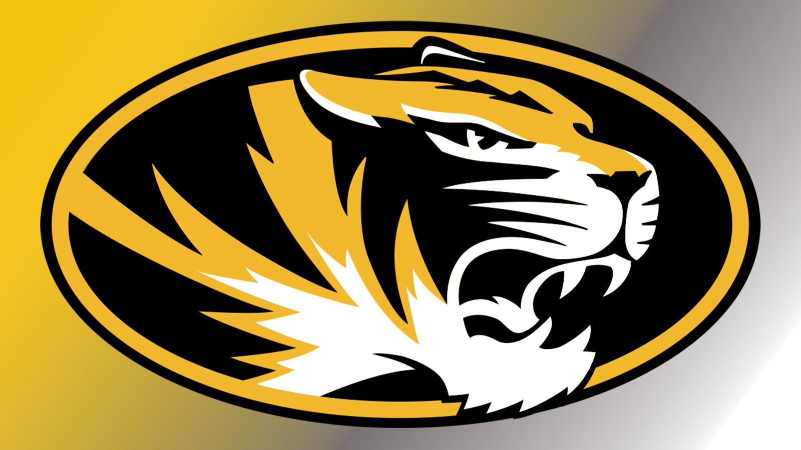 2025 Fall College Baseball Reset: Missouri