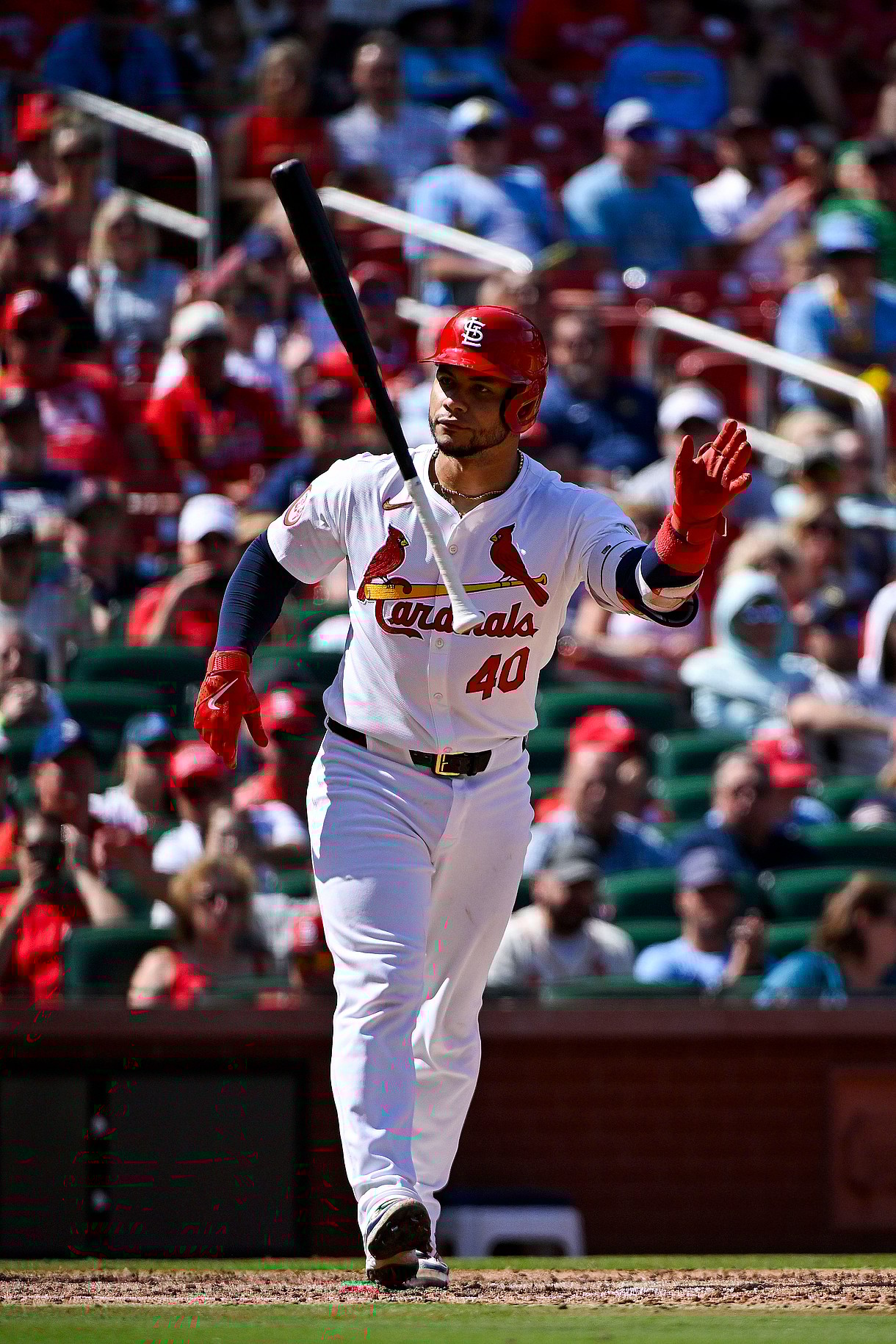 MLB: Milwaukee Brewers at St. Louis Cardinals, willson contreras, yankees