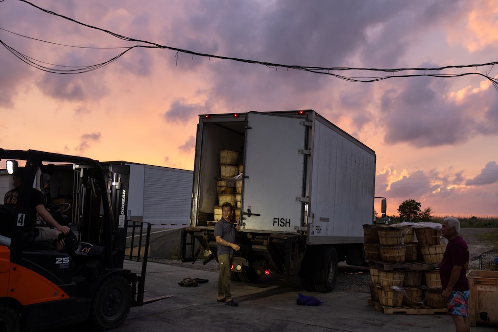 Rin Tho loads a truck filled with crabs that is headed to the Pomes picking plant in Alabama at Pomes Seafood facility in New Orleans. Pomes started running his own trucks to Baltimore in 2017 and now delivers about 8,000 bushels of live crabs weekly to Maryland markets.