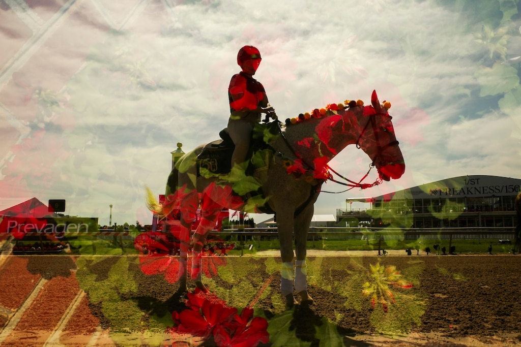 Horses, jockeys and patrons gather on the race course at Pimlico ahead of the first race of the day during the 150th Preakness on May 17, 2025. (double exposure in-camera)