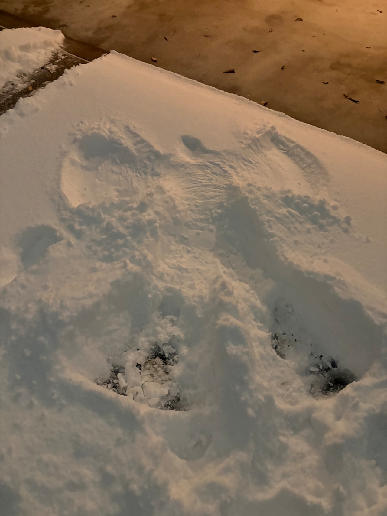 Snowfall Cleveland Ohio Thanksgiving 2025