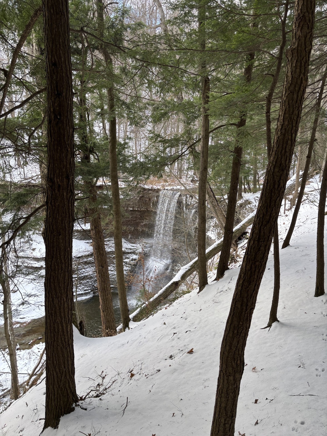 Cascade Falls Park Painesville Ohio Thanksgiving 2025