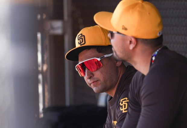 Marcos Castanon sits in the dugout during spring training workouts at the Peoria Sports Complex on Tuesday, Feb. 13, 2024 in Peoria, AZ. (Meg McLaughlin / The San Diego Union-Tribune)