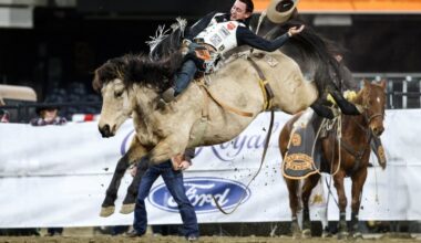 Petco Park welcoming rodeo a comment on Padres – San Diego Union-Tribune