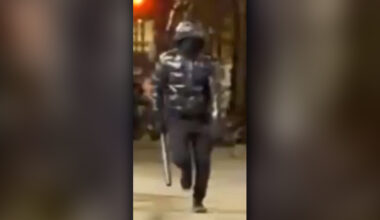 Man walking dog in Manattan bashed with baseball bat by stranger in unprovoked attack