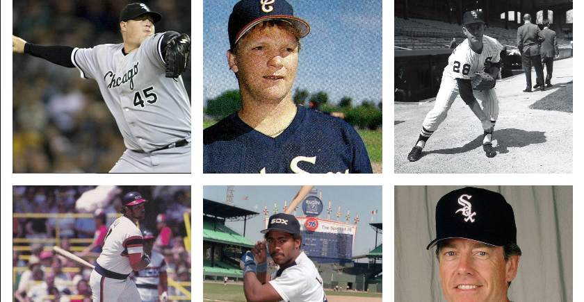 In Memoriam: The White Sox We Lost in 2025