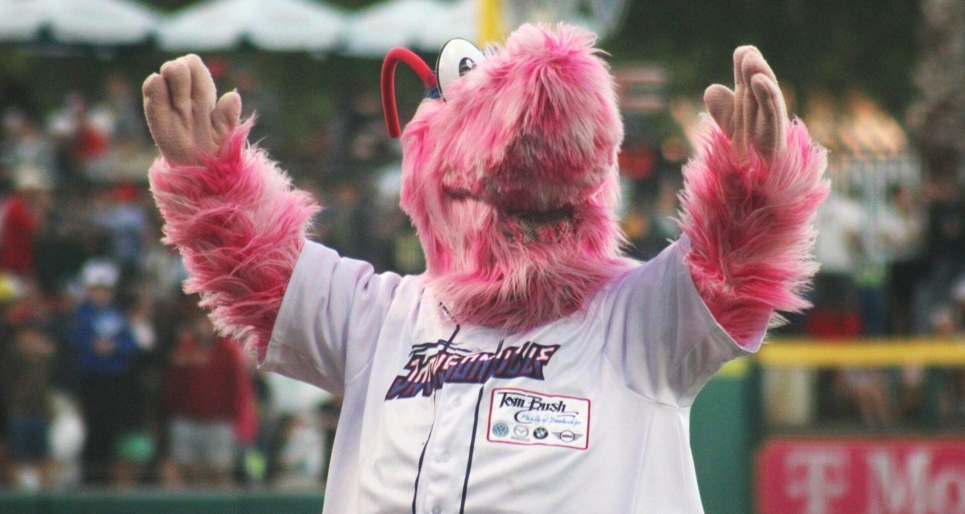 Asset Class: PE Minor League Push