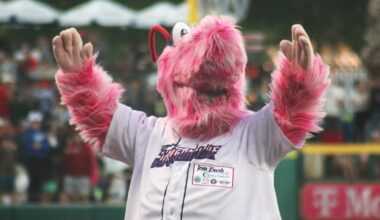 Asset Class: PE Minor League Push