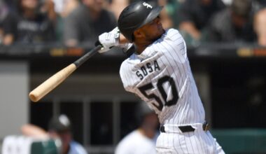 Why The White Sox Should Consider Trading Lenyn Sosa