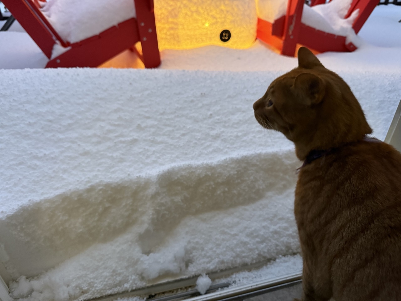 Snowfall South Euclid Ohio Thanksgiving 2025