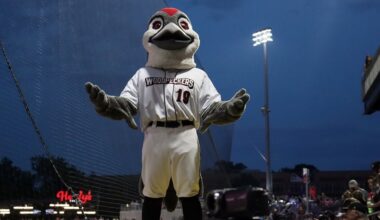Fayetteville Woodpeckers, 2 Other Astros' Affiliates Sold to Diamond Baseball Holdings