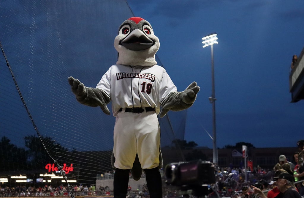 Fayetteville Woodpeckers, 2 Other Astros' Affiliates Sold to Diamond Baseball Holdings