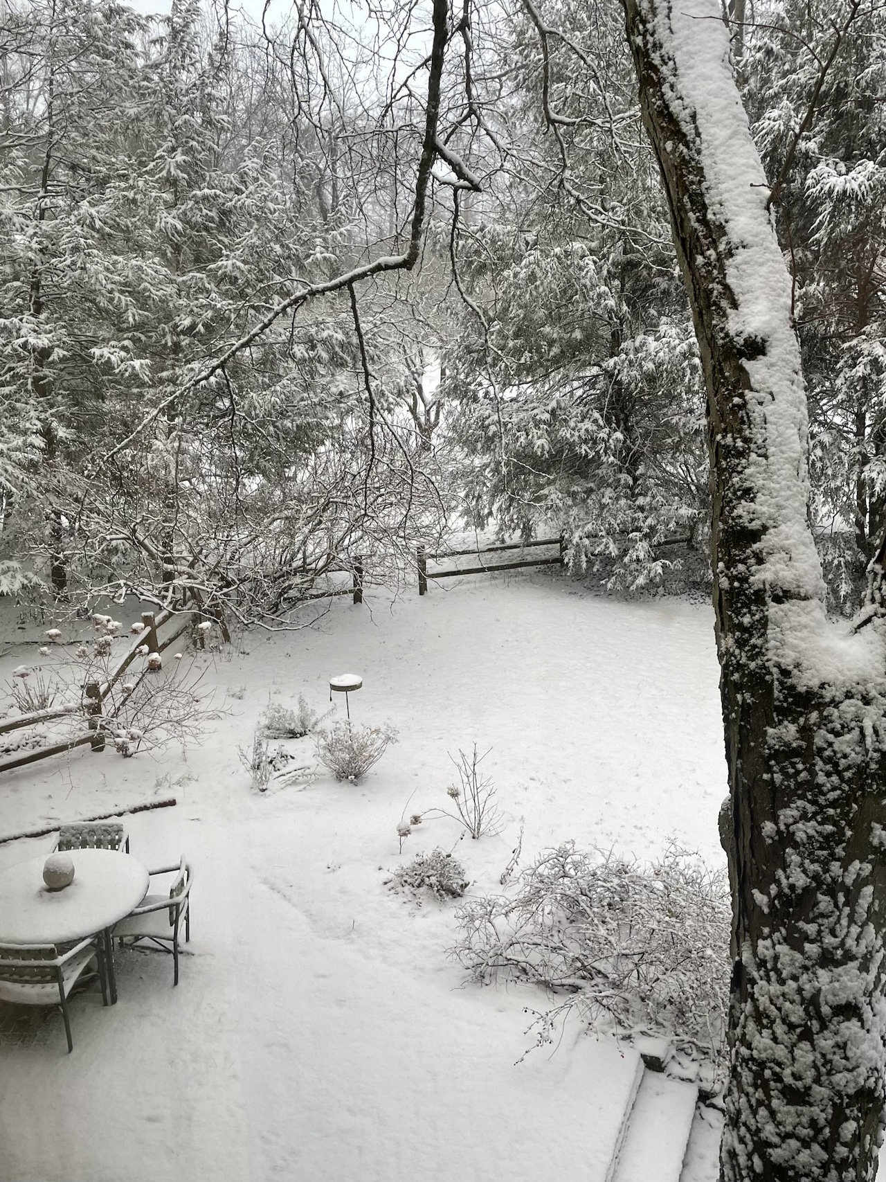 Snowfall Northwest Akron Thanksgiving 2025