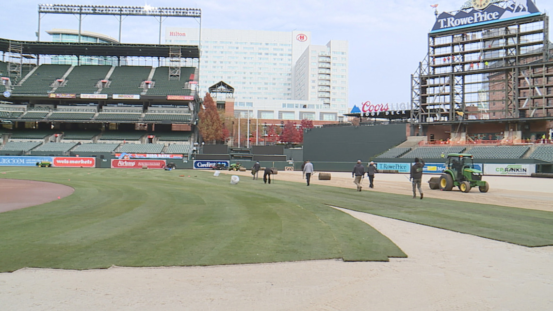 Crafting one of baseball’s best views: The story behind Camden Yards’ new grass