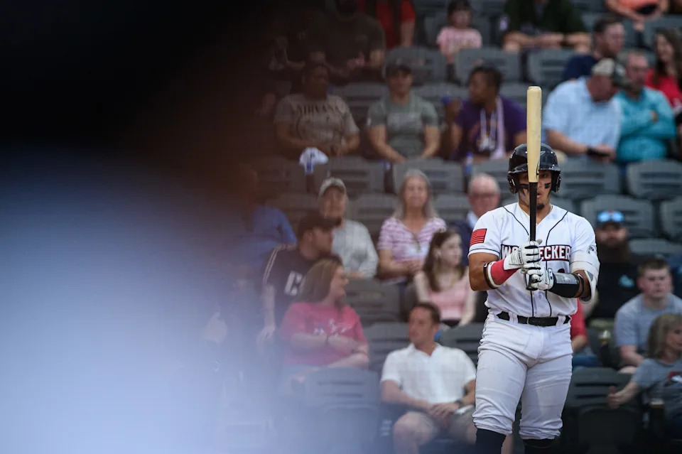 Fayetteville Woodpeckers' opening night game against Lynchburg Hillcats on Friday, April 4, 2025.