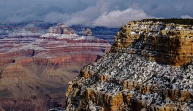 Arizona Diamondbacks: December confidence poll