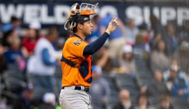 San Francisco Giants prospect rankings: catcher Daniel Susac No. 20