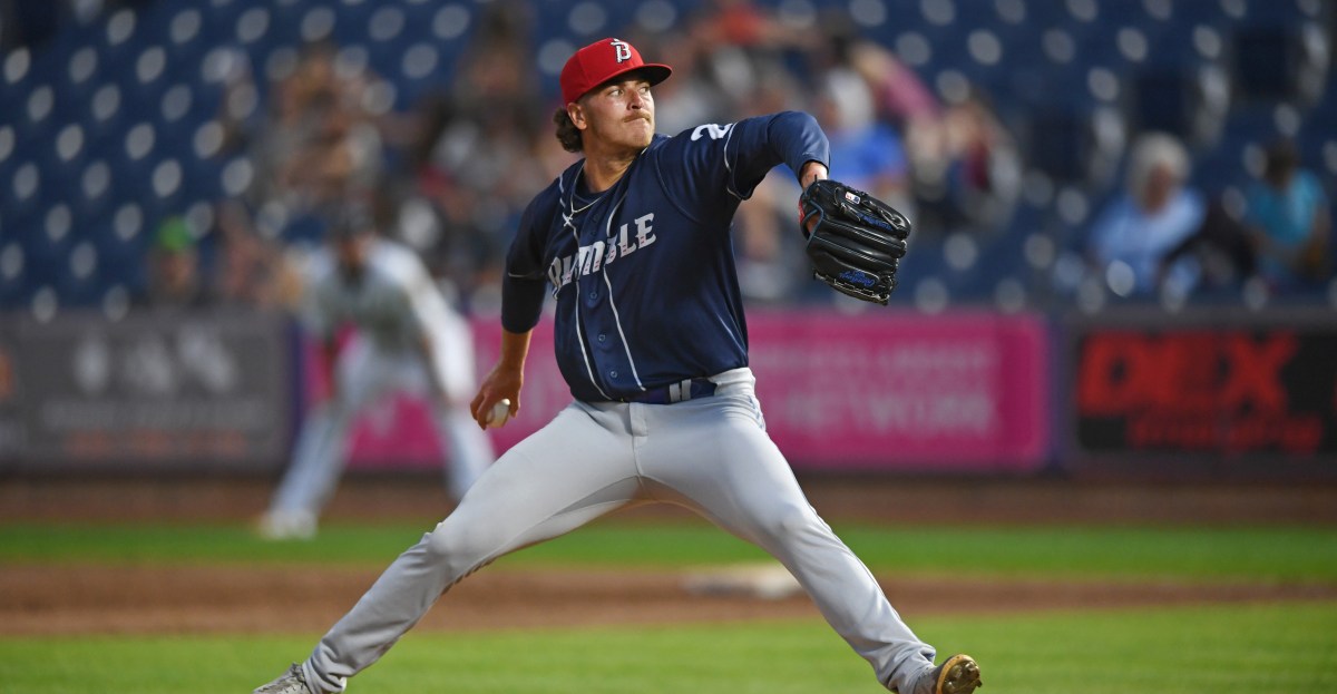 Mets 2025 Rule 5 draft recap