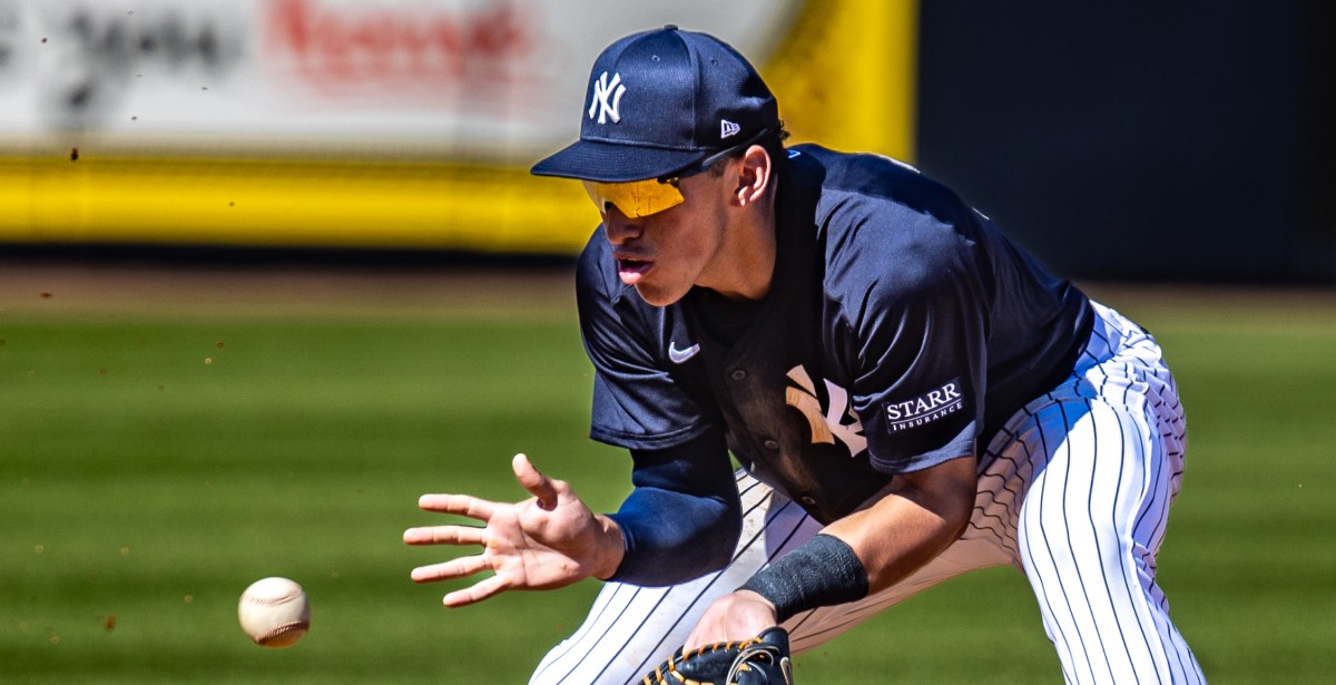 Yankees Top 10 Prospect Rankings