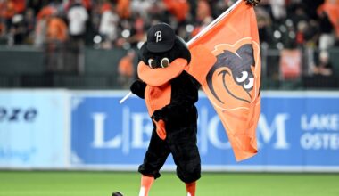 Monday Bird Droppings: December in Birdland