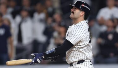 Yankees farm system check-in: Catcher