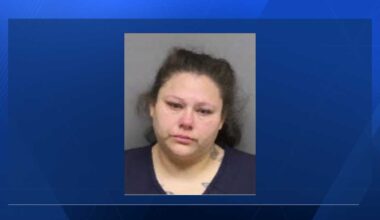 Lincoln woman accused of hitting teen with baseball bat