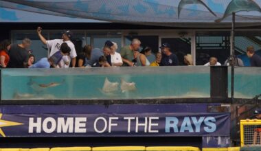 White Sox News: Raiding the Rays and Red Sox
