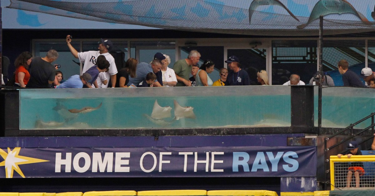 White Sox News: Raiding the Rays and Red Sox