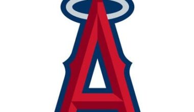 Anheuser-Busch InBev