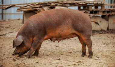 Six Individuals Appointed to NPB Board of Directors