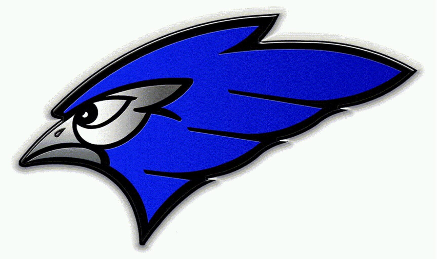 Chad Weber is new Jamestown American Legion head baseball coach - Jamestown Sun