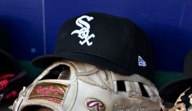 New White Sox international signing could be the catcher of the future