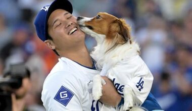 Los Angeles Dodgers superstar Shohei Ohtani's dog has become a firm favorite
