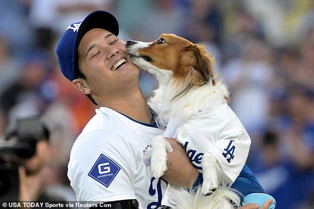 Los Angeles Dodgers superstar Shohei Ohtani's dog has become a firm favorite