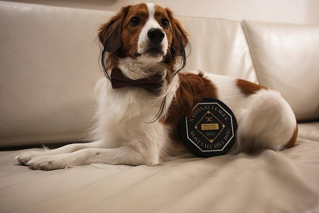 The pup, named Decoy, was honored with the National League Most Valuable Dog award