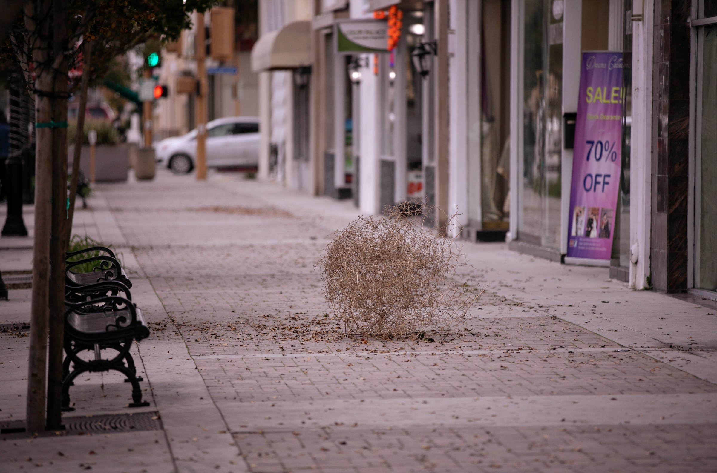 Monday Morning Texas Rangers Update