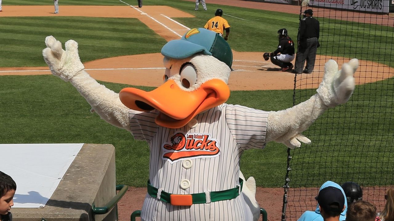 Long Island Ducks sold to REV Entertainment, which also owns the Texas Rangers