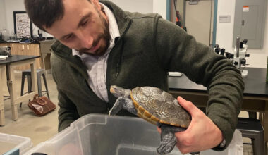 Download app from appStore