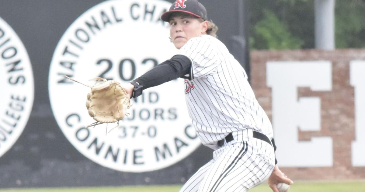 New faces and key returners to lead Jets baseball this season | Sports