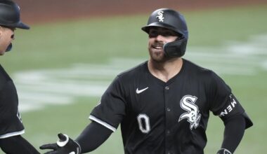 Charleston RiverDogs name Danny Mendick new manager