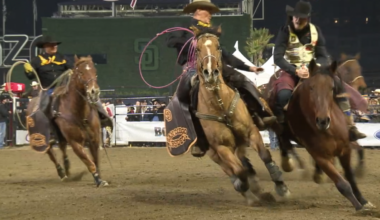 Controversial San Diego Rodeo Wraps Up Three-Day Event