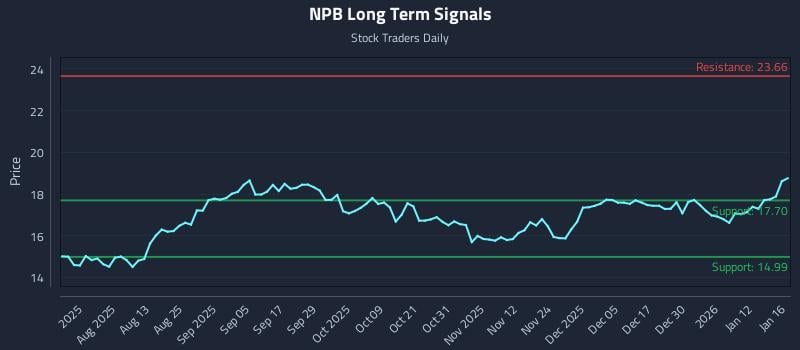 NPB Long Term Analysis for January 19 2026 NPB Long Term Analysis for January 19 2026