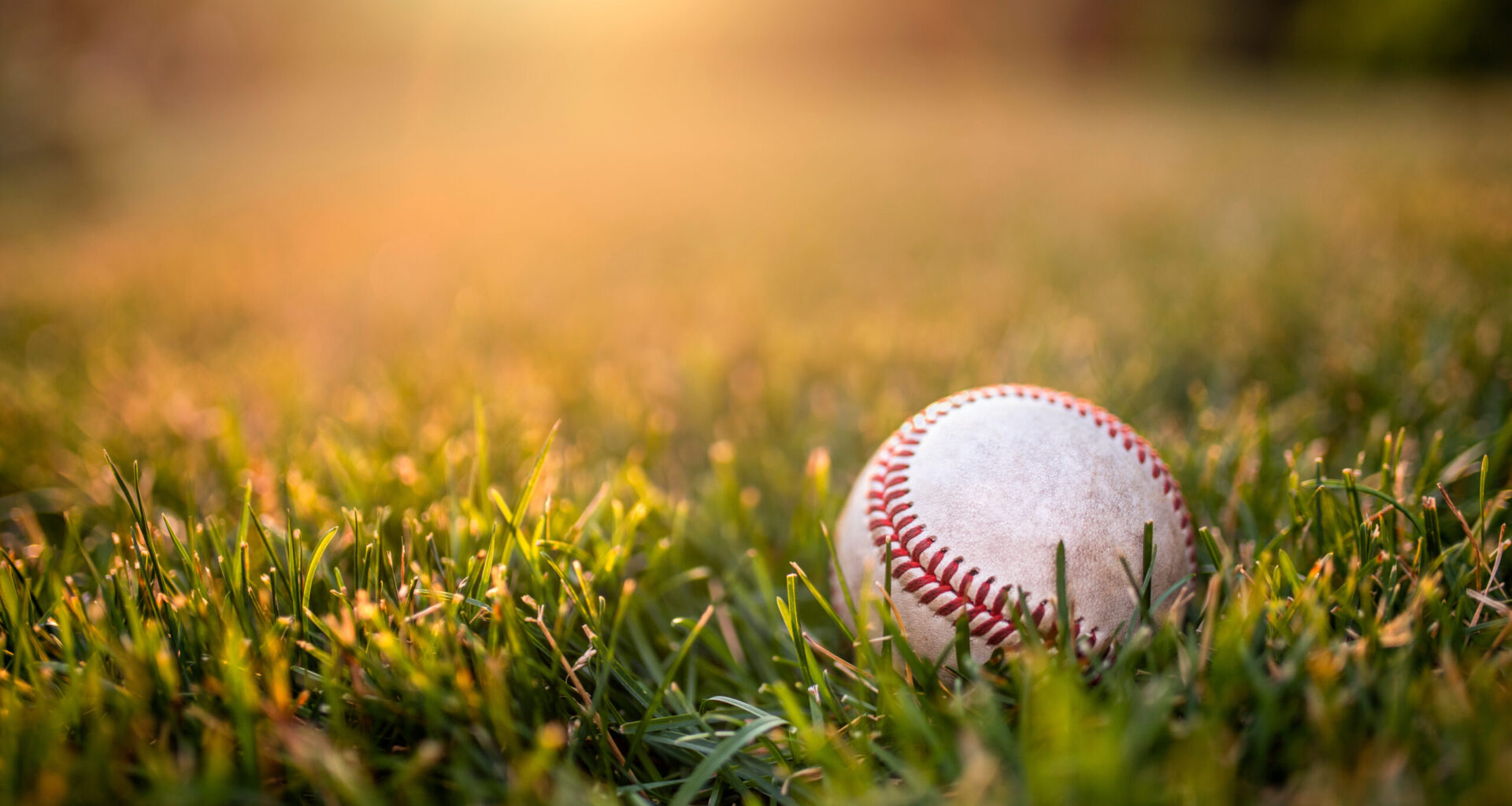 Tampa Bay Rays open 2026 Spring Training ticket sales next week