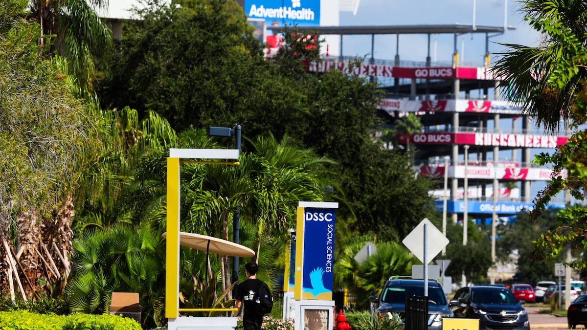 Rays stadium at Tampa’s Hillsborough College could cost $2.3 billion - tampabay.com